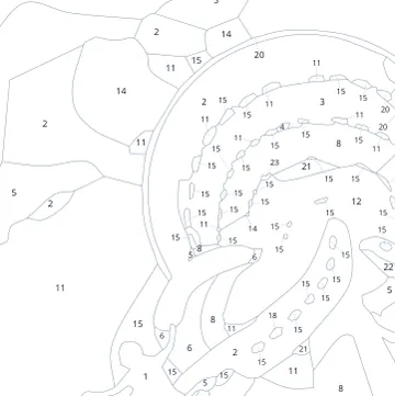 A detail of a numbered sheet: smooth outlines and a number in every area.